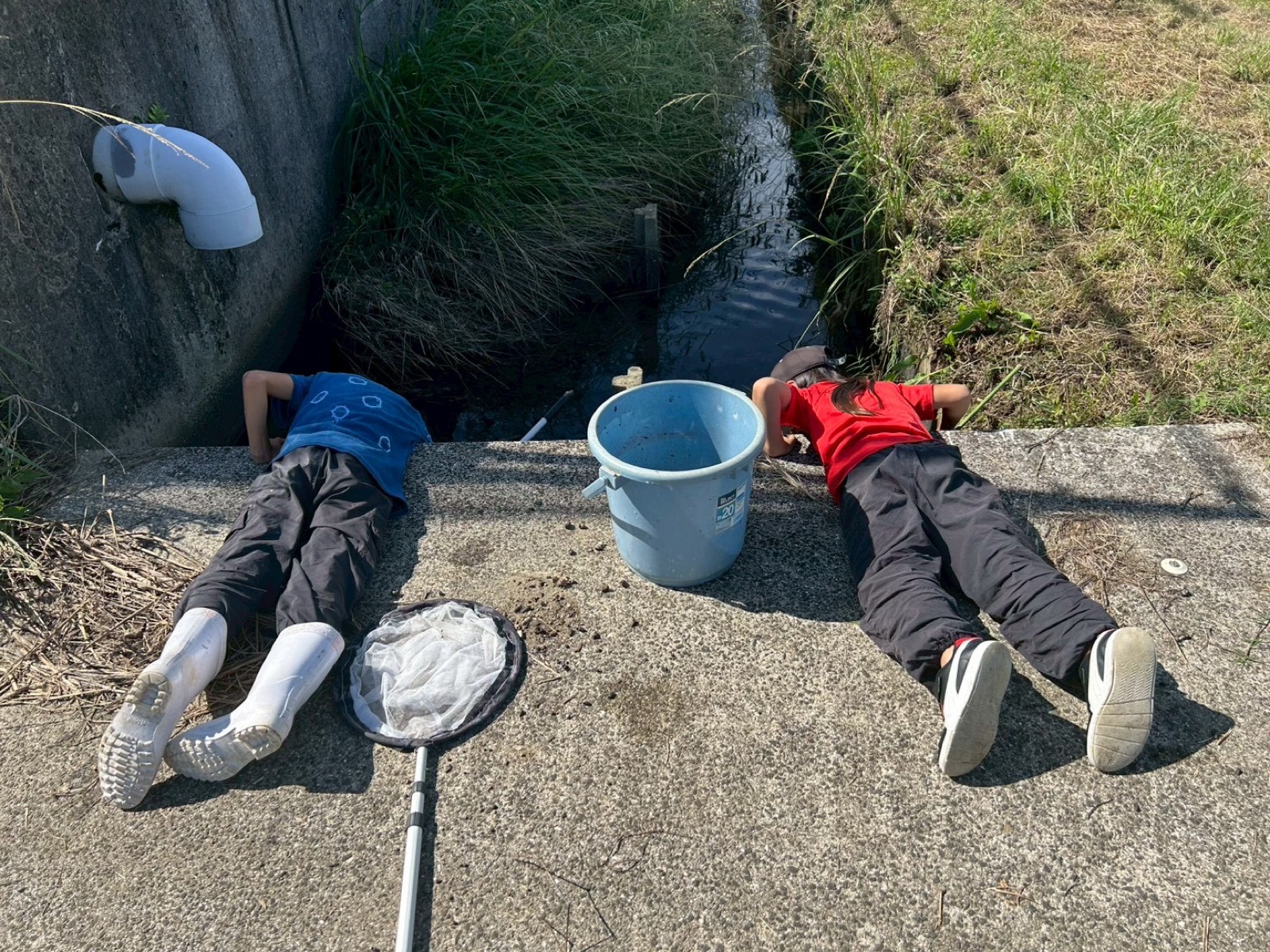 戸外活動の一コマ